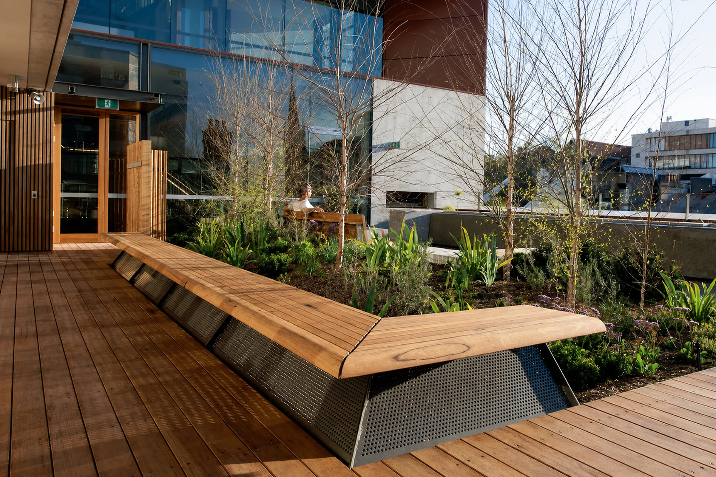 Timber seating and established courtyard planting at The Kinghorn Cancer Centre in Darlinghurst