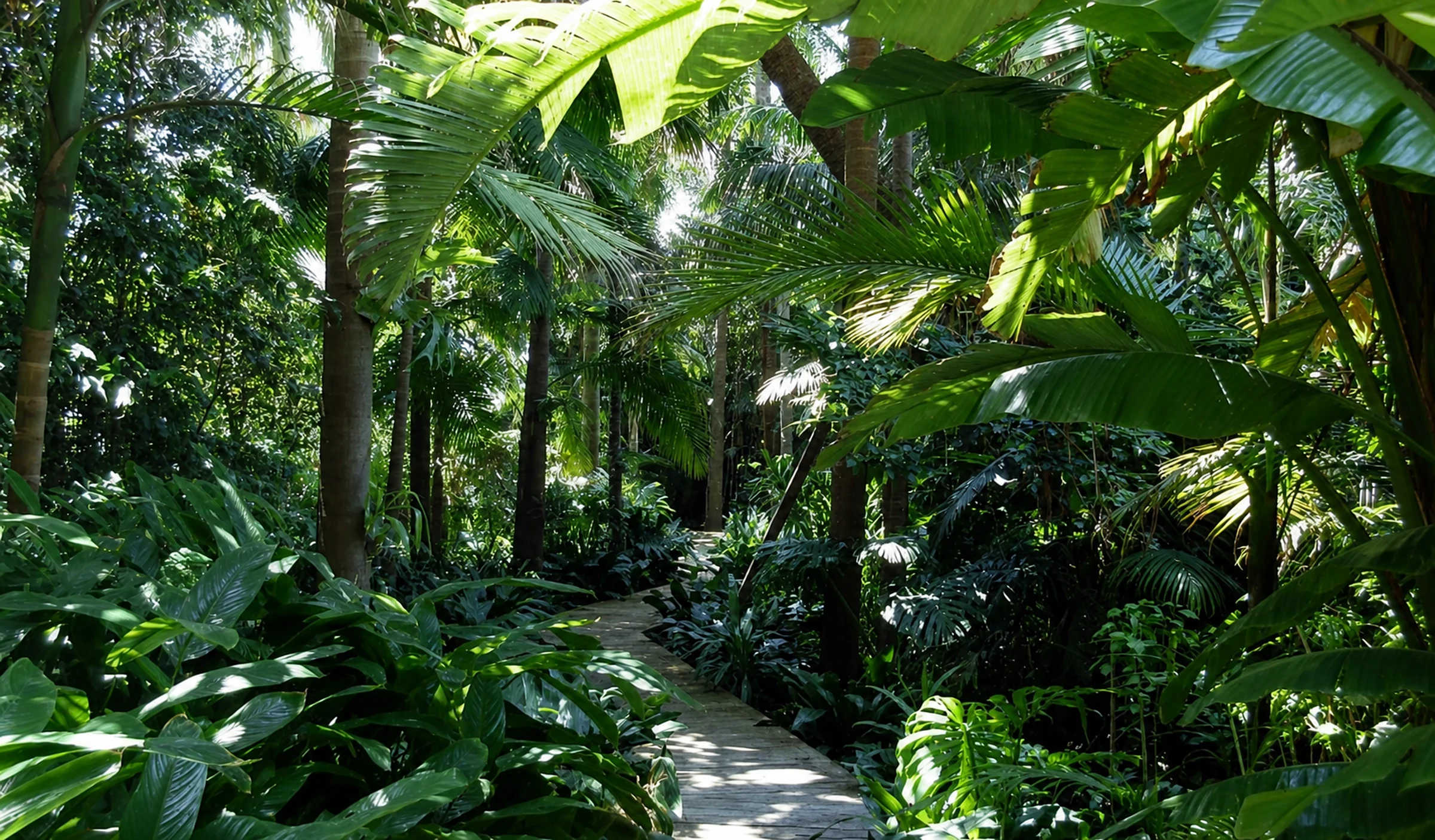 Tregoyd Gardens, Mosman